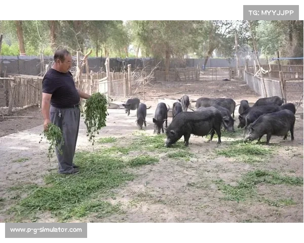塔河赛事推动林下经济发展 野生蓝莓采摘体验成为热潮新选择